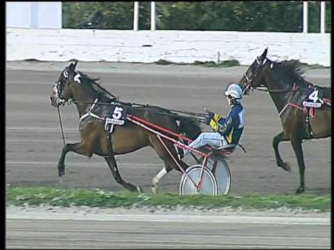 Trotto 20/03/2016 - 5° corsa