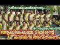 ശ്രീ രാമ ലക്ഷ്മണനും ആലിങ്ങലമ്മ ടീമിന