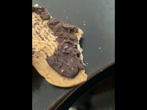 Belvita - Egg looking things going in the filling of my dark chocolate cream sandwiches