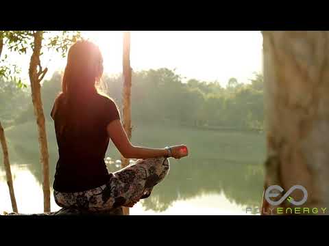 Poly Energy Multi Install Video