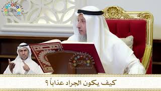 884 - كيف يكون الجراد عذاباً؟ - عثمان الخميس