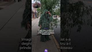 Un polițist s-a deghizat în copac pentru a-i prinde pe șoferii care foloseau telefonul mobil