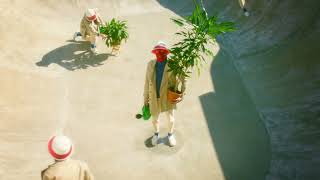 Pale Jay - The Garden video