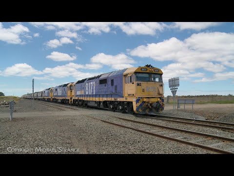 7731V Pacific National Grain Train With 8171 8166 8183 Arrives At Gheringhap (29/12/2023) - PoathTV