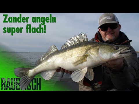 Change of plan: If the zander are biting so well, of course we'll fish for zander!