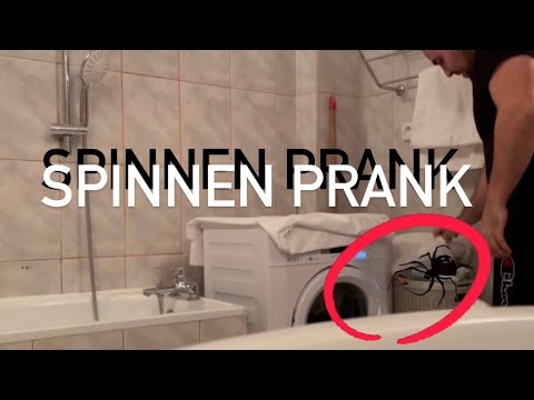 Spinne im Bad 🛁 🕷️ !!!! Spinnen Prank !
