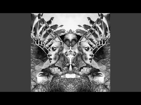 Video thumbnail for Natural Selection