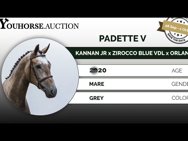 Padette flatwork