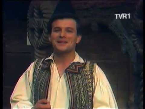 ADRIAN STANCA Trandafir mandru-nflorit (TVR)