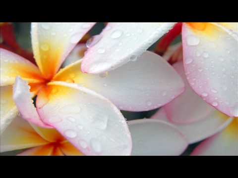 Sindre Eide - Piovere