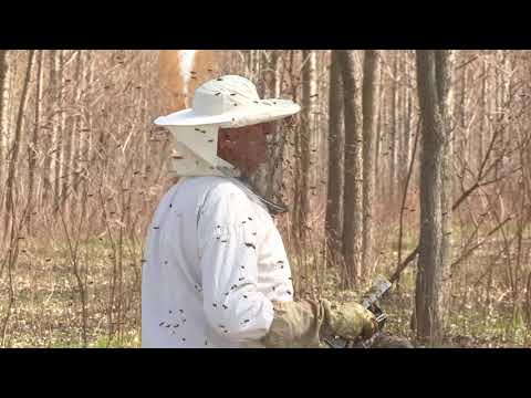 Boja meda ep. 167 18.05.2021. NAJAVA