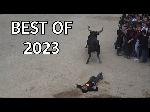 BEST OF 2023 COURSE AU PLAN / ENCIERRO - LONGUE - BANDIDO - TORO PISCINE