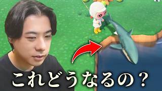 村の環境がどんどん悪くなっていくww…＃26【あつまれ どうぶつの森】