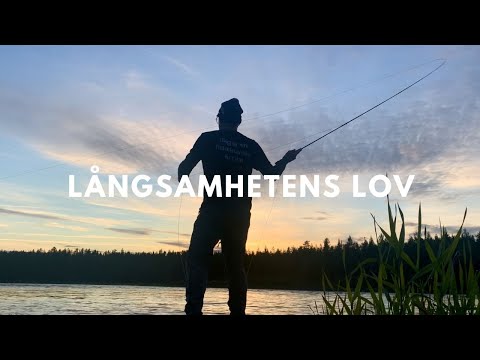 VLOG - LÅNGSAMHETENS LOV