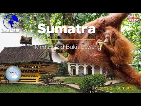 Indonesia • North Sumatra • Medan and the orangutan sanctuary