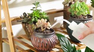 3 Tier Bamboo Plant Stand & Installation Manual