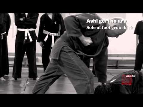 Ninjutsu kicks Interactive - AKBAN Academy