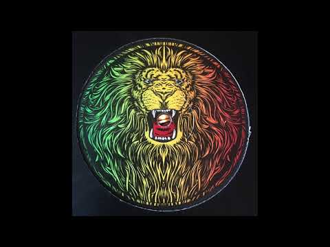 When The Lion Dub - J.Robinson WhoDemSound meets iStep feat Fikir Amlak WHODEM022