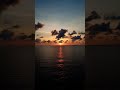 A R Rahman Shakthisree Gopalan Maryan Yenga Pona Raasa
