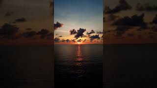 A.R. Rahman, Shakthisree Gopalan - Maryan - Yenga Pona Raasa