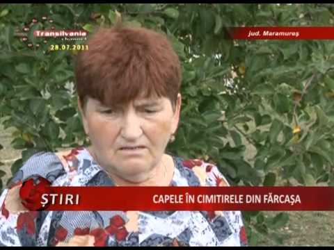 08_Capele In Cimitirele Din Farcasa