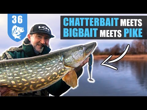 PIKE in WINTER: Fish shallow - catch lots!