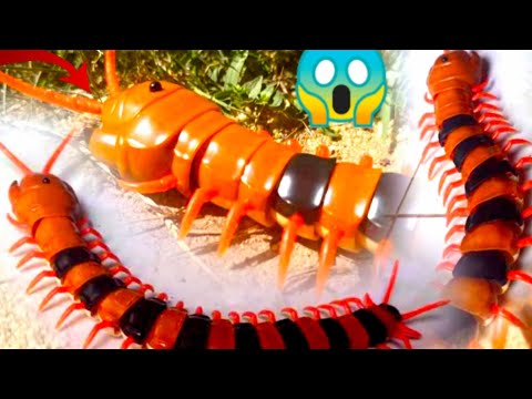 Rc Scolopendra unboxing and test Video|Rc scorpion