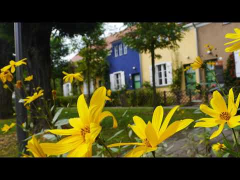 Gartenstadt Falkenberg - Tuschkastensiedlung