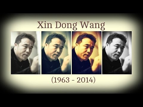 The Art of Xin Dong Wang
