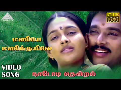 மணியே மணிக்குயிலே HD Video Song | நாடோடி தென்றல் | கார்த்திக் | ரஞ்சிதா | இளையராஜா