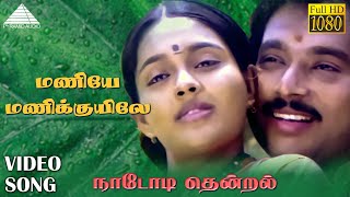 Download lagu மணியே மணிக்குயிலே HD Video Song | நாடோடி தென்றல் | கார்த்திக் | ரஞ்சிதா | இளையராஜா mp3 Download lagu மணியே மணிக்குயிலே HD Video Song | நாடோடி தென்றல் | கார்த்திக் | ரஞ்சிதா | இளையராஜா mp3