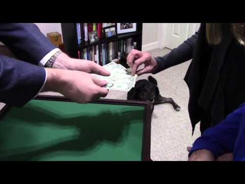 Hundy 500 by Gregory Wilson (4)