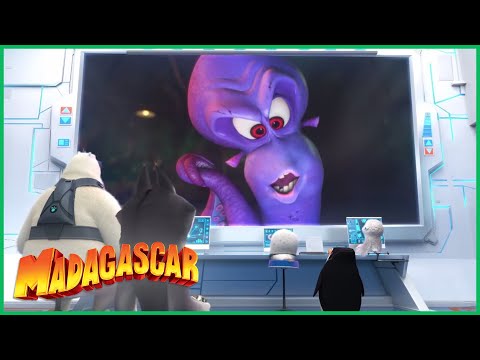 Capa de DreamWorks Madagascar em Português | Dave invade o sistema! | Os Pinguins de Madagascar