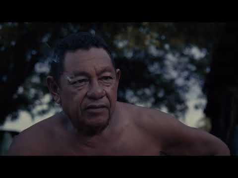 Audio & the Alligator - Sheffield DocFest 2024