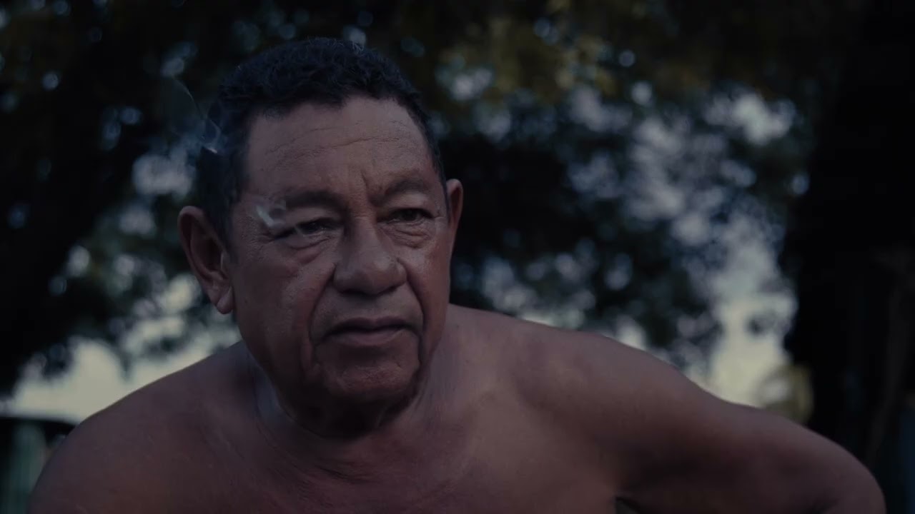 Audio & the Alligator - Sheffield DocFest 2024