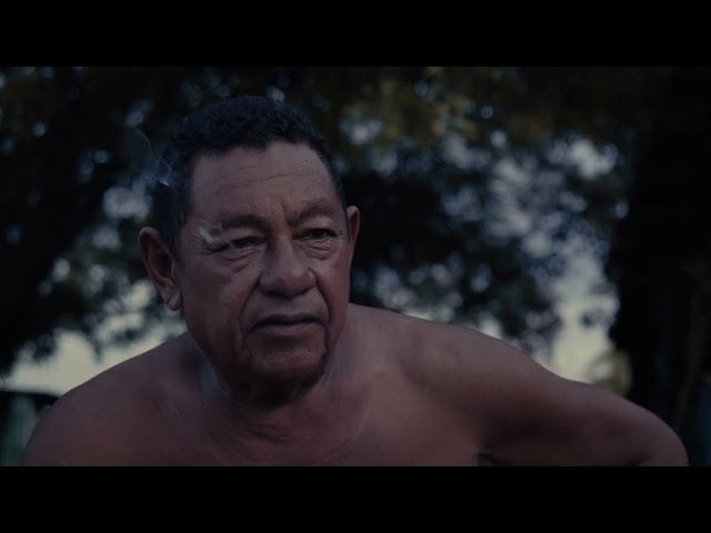 Audio & the Alligator - Sheffield DocFest 2024