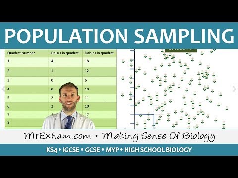 Ecology - Population Sampling Fieldwork - GCSE Biology (9-1)