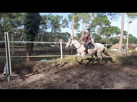 07/10/20 Un peu d'obstacle