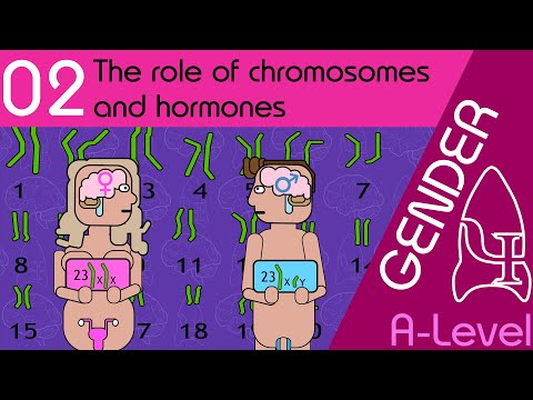 2 the role of chromosomes