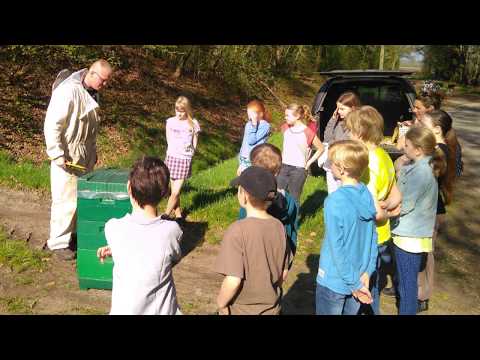 Grundschüler informieren sich über Bienen und Rapsanbau