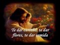 Caiana - Pra você voltar 