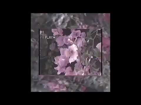 SNEAZZY-MAGNOLIA FREESTYLE