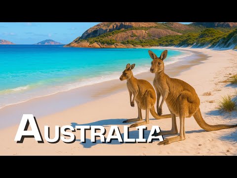 Amazing Wildlife of Australia - 4K Nature Documentary