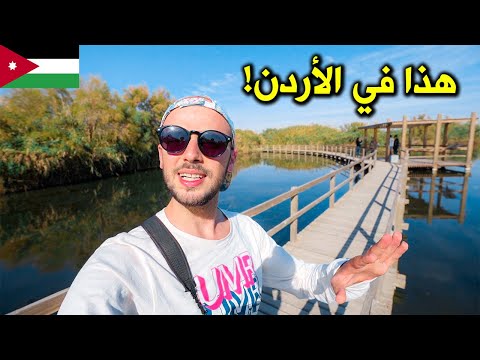 الفيديو