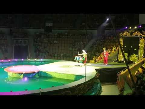 ЕКАТЕРИНБУРГСКИЙ ЦИРК 2019. 'ЦИРК НА ВОДЕ'