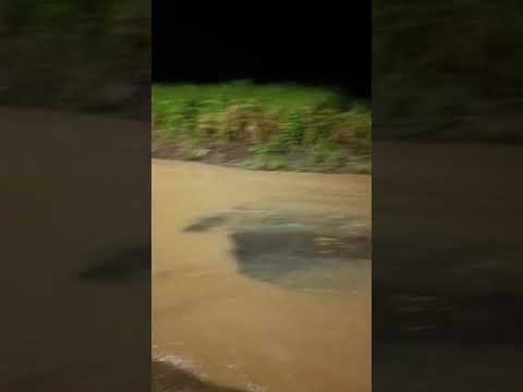 Alagamento em alvorada carangola MG