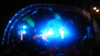 Orange Grove - White Daisy