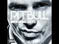 Pitbull - Guilty By Association