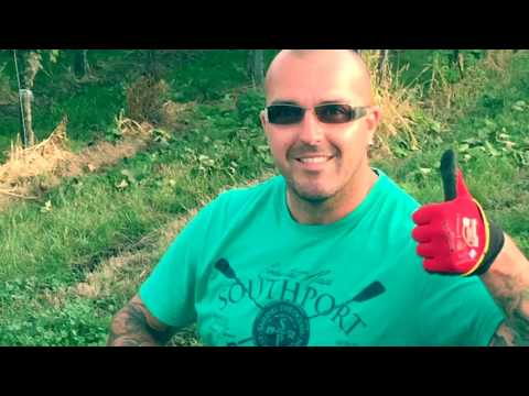 Weinlese 2016 - Weingut Büchin Markgräflerland Süd-Baden