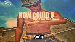 Speaker Knockerz - How Could U